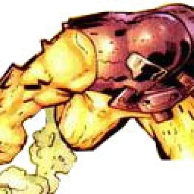 Acidroid