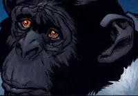 Adam the Ape