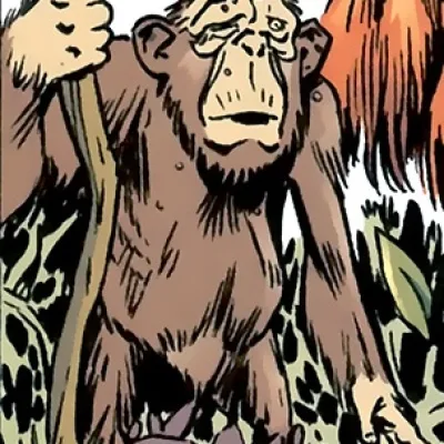Aesop
