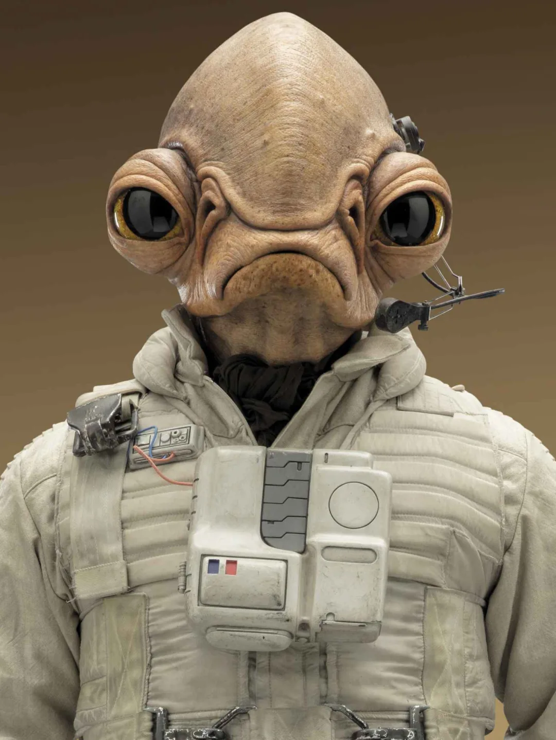 Aftab Ackbar