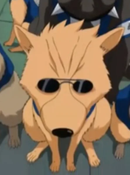Akino
