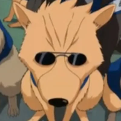 Akino