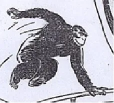 Akut