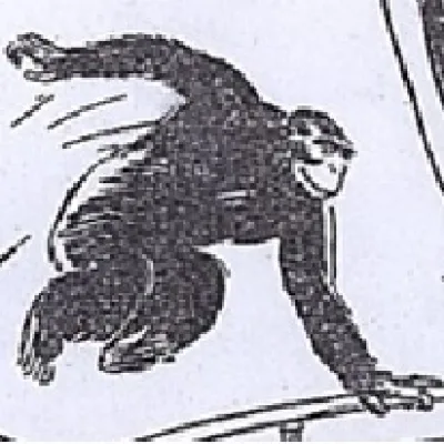 Akut