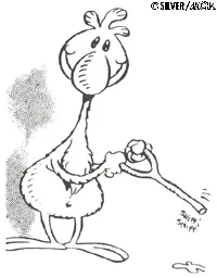 Alfredo the Turkey