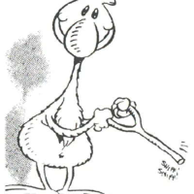 Alfredo the Turkey