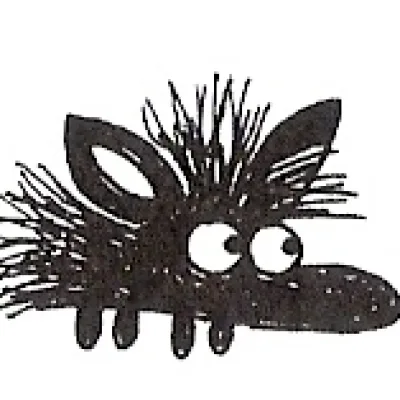 An Egyptian long eared hedgehog.