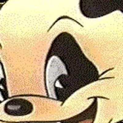 Andy Panda