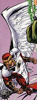 Angel Hawk
