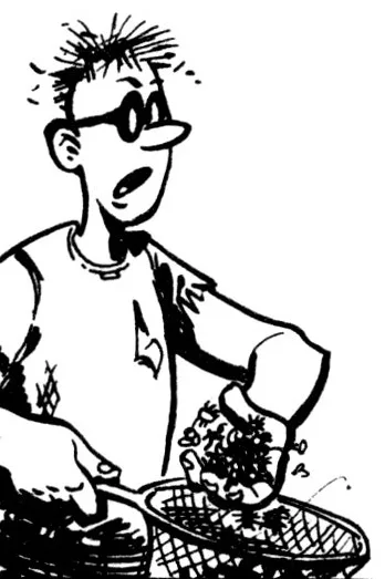 Ant Boy