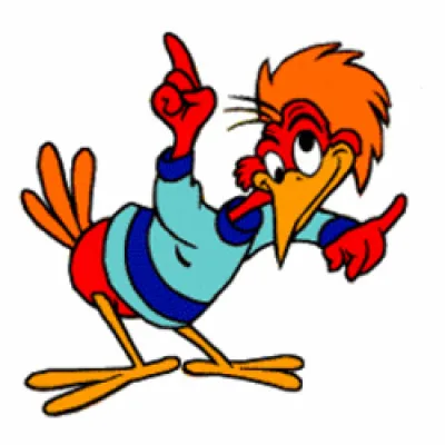 Aracuan Bird