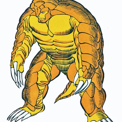 Armadillo