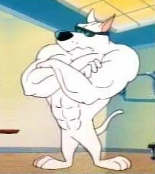 Arnold the Pit Bull