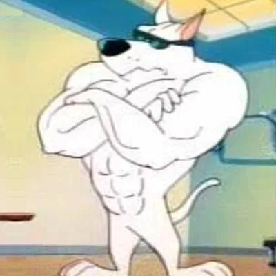 Arnold the Pit Bull