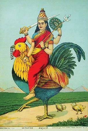 Bacuchara Mata