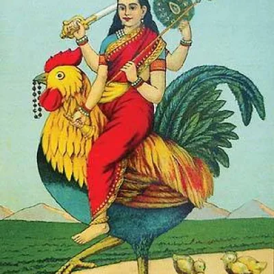 Bacuchara Mata