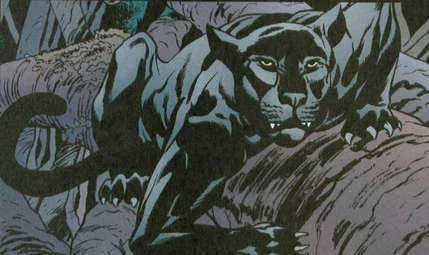 Bagheera