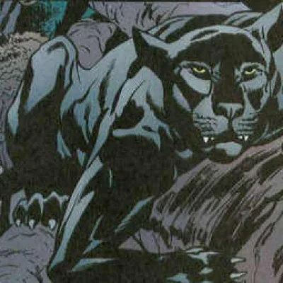 Bagheera