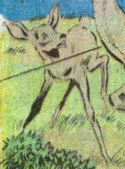 Bambi