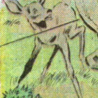 Bambi