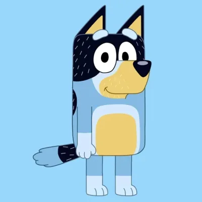 Bandit