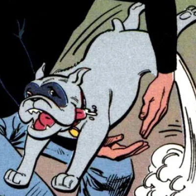 Bandit