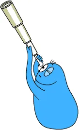 Barbabright