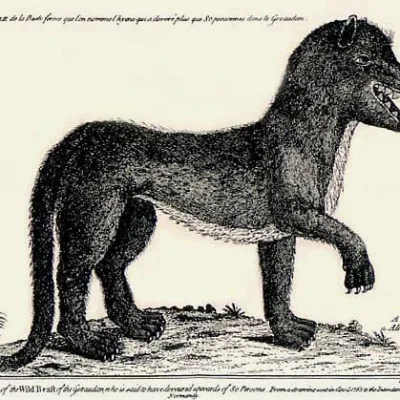 Beast of Gévaudan