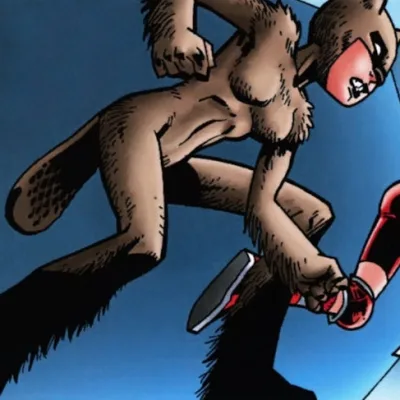 Beaver