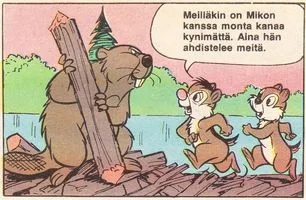 Beaver