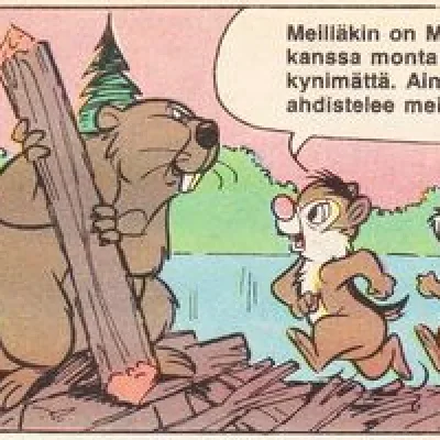 Beaver