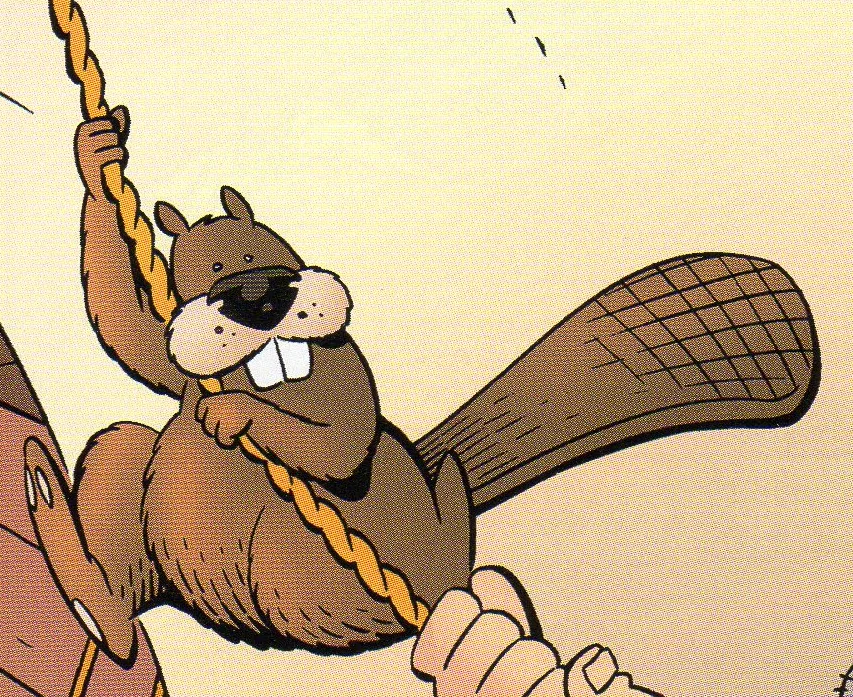 Beaver