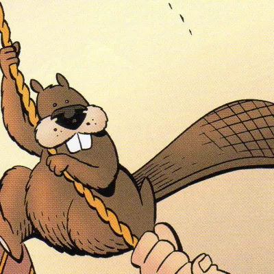 Beaver