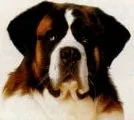 Beethoven