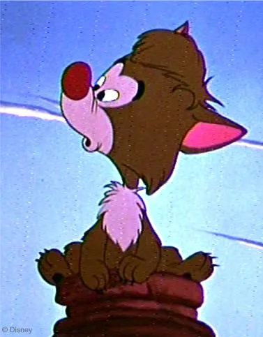 Bent-Tail Junior