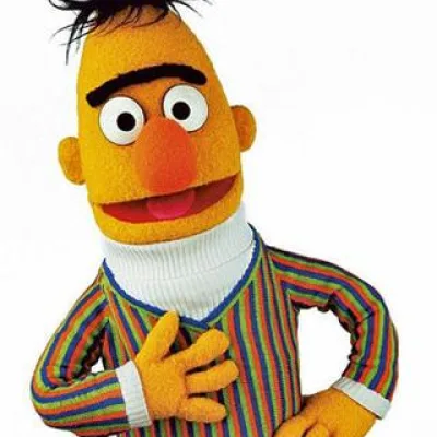 Bert