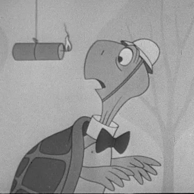 Bert the Turtle