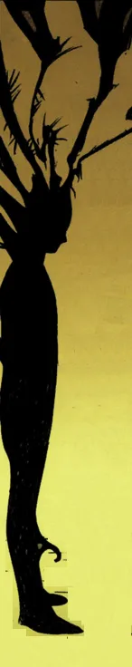 Bête Noir