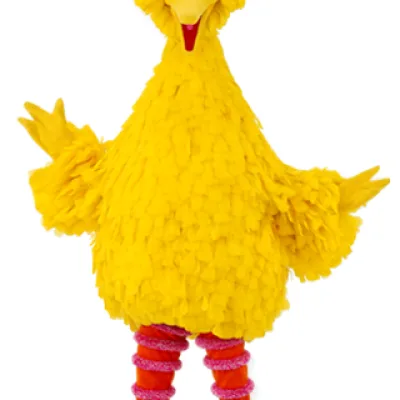Big Bird