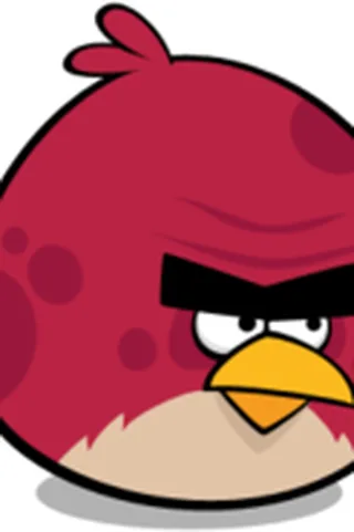 Big Brother Bird