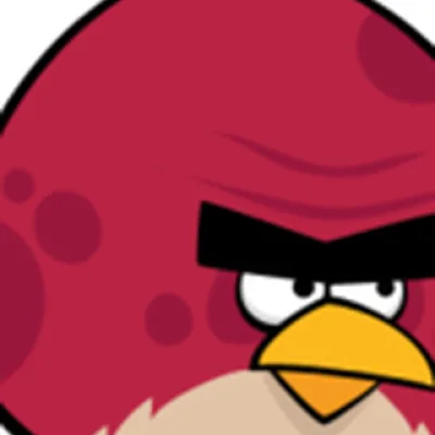 Big Brother Bird