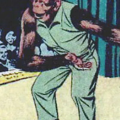 Bimi