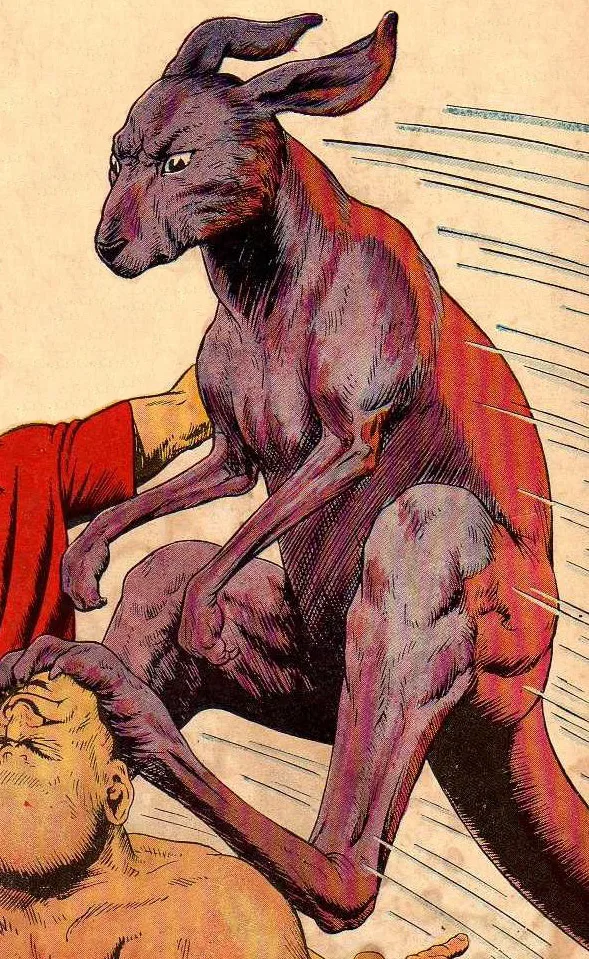 Bingo The Kangaroo