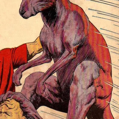 Bingo The Kangaroo