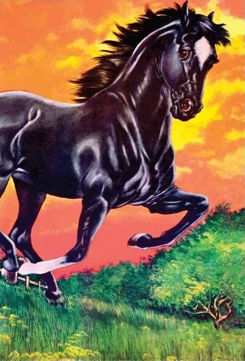 Black Beauty