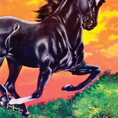 Black Beauty
