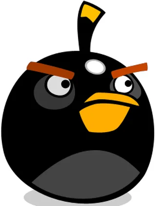 Black Bird