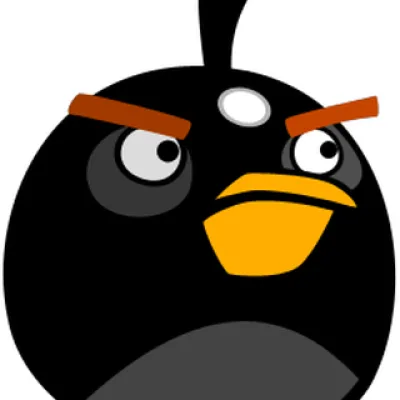Black Bird