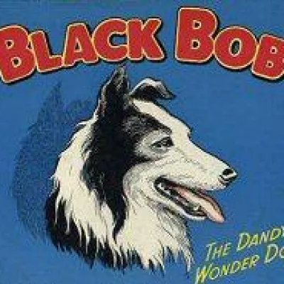 Black Bob