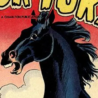 Black Fury